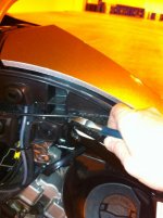 IMG_0986.jpg