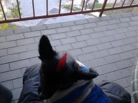20111201_140242.jpg