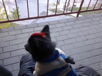 20111201_140238.jpg