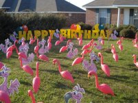 happy bday flamingo.jpg