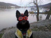 IMG_20111203_172409.jpg