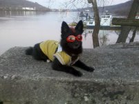 IMG_20111203_172429.jpg