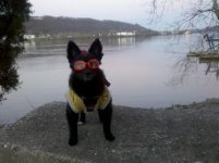 IMG_20111203_172451.jpg