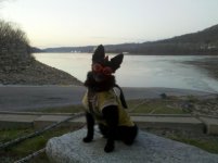 IMG_20111203_172524.jpg