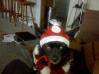 IMG_20111206_154748.jpg
