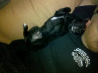 IMG_20111120_231710.jpg