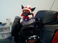 IMG_20111208_153027.jpg