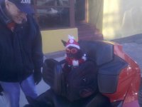 IMG_20111210_143647.jpg