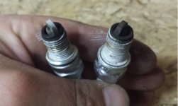 PLUGS_JPEG.jpg