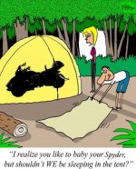 Spyder in tent.jpg