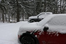 SNOWING2.jpg