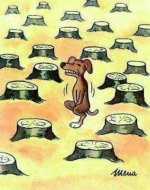 dog.jpg