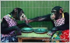 Sharing.jpg