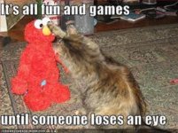 images20Z3L6E4.jpg