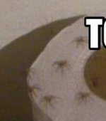 uploadfromtaptalk1427940112283.jpg