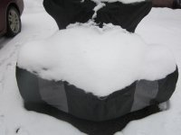Snow on Can-Am spyder 001.jpg