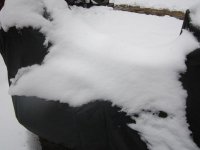 Snow on Can-Am spyder 002.jpg
