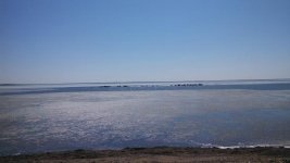 IMG_20150411_131527_343.jpg