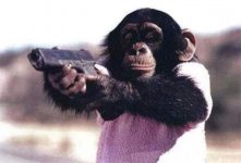 Frunk Monkey.jpg