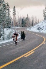 Meals on Wheels.jpg