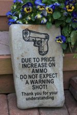 No Warning Shot.jpg