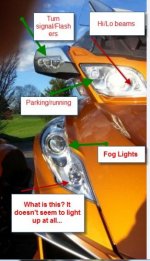 RtLights.jpg