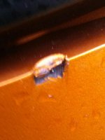 0518152010-1.jpg