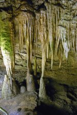 IMG_0956.jpg