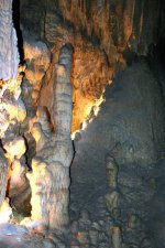 IMG_0992.jpg