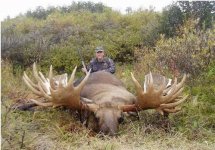 moose11.jpg