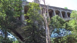 DSC02140.jpg