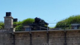 20150627_111823.jpg