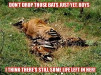 Beating the Dead Horse.jpg