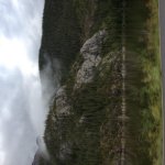 IMG_0517.jpg