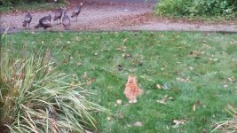20141014_084906.jpg