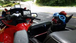 20150818_140624.jpg