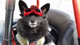 20150309_150522.jpg