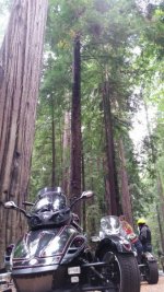 20150819_121203_resized.jpg