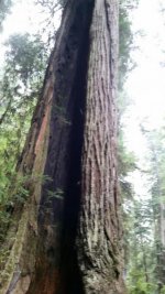 20150820_093522_resized.jpg