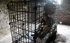 Caged.jpg