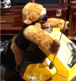 rich'smascot.gif