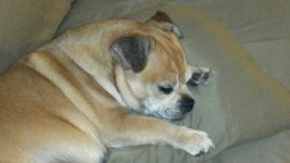2011-10-05_22-15-19_658.jpg