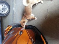 20150904_110358.jpg