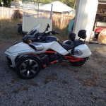 saddlebags 1.jpg