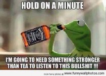 Kermit bullshit.jpg