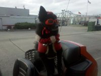 IMG_20111214_164554.jpg
