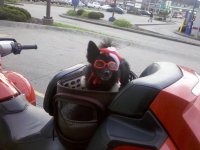 IMG_20111214_164627-1.jpg