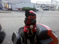IMG_20111214_164559.jpg