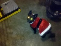 IMG_20111222_121455.jpg