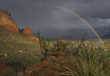 Sedona_0039.jpg